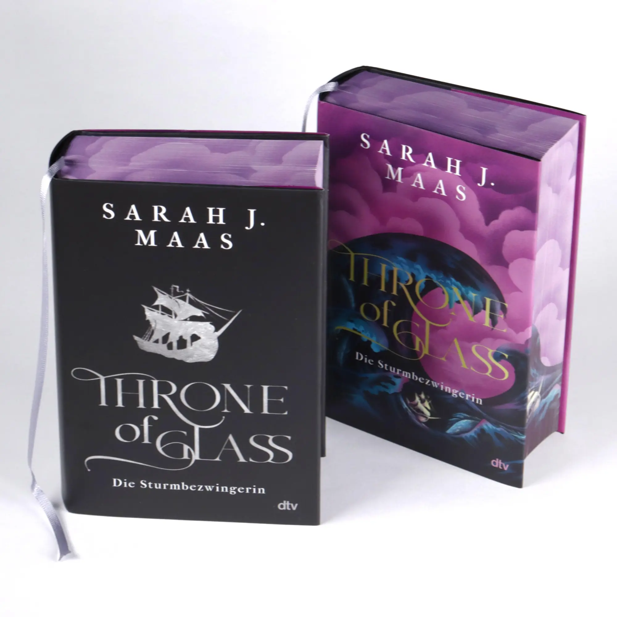 Bild: 9783423765343 | Throne of Glass - Die Sturmbezwingerin | Sarah J. Maas | Buch | 848 S.