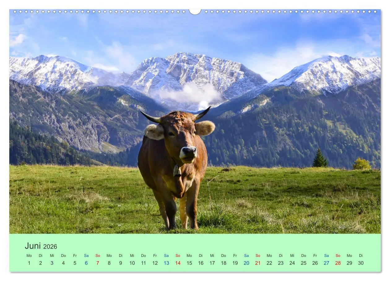 Bild: 9783457595343 | Zauber der Alpen (Wandkalender 2026 DIN A2 quer), CALVENDO...