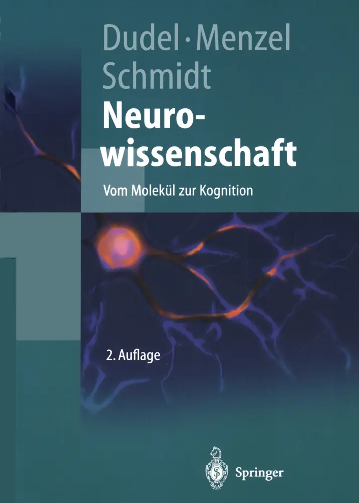 Cover: 9783642625343 | Neurowissenschaft | Vom Molekül zur Kognition | Josef Dudel (u. a.)