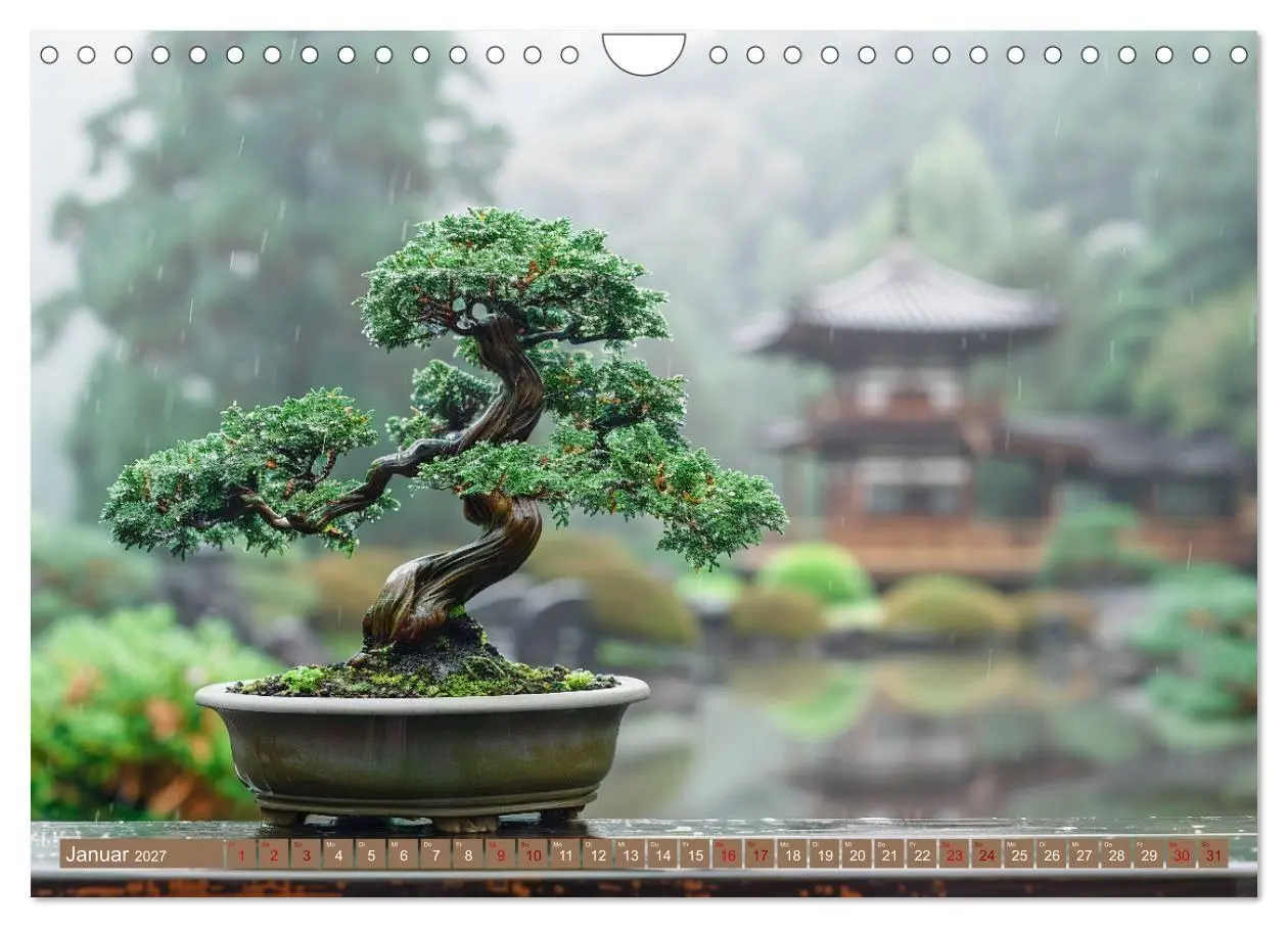 Bild: 9783569135543 | Bonsai meditativ (Wandkalender 2027 DIN A4 quer), CALVENDO...