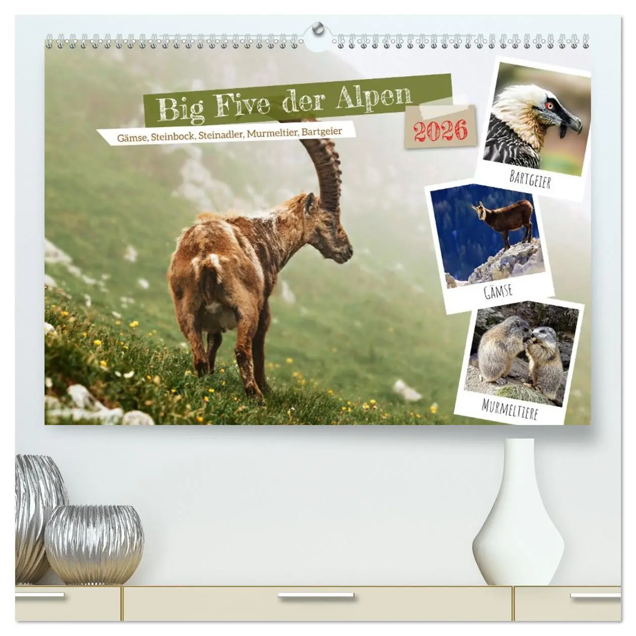 Cover: 9783457495643 | Big Five der Alpen Gämse, Steinbock, Murmeltier, Steinadler,...
