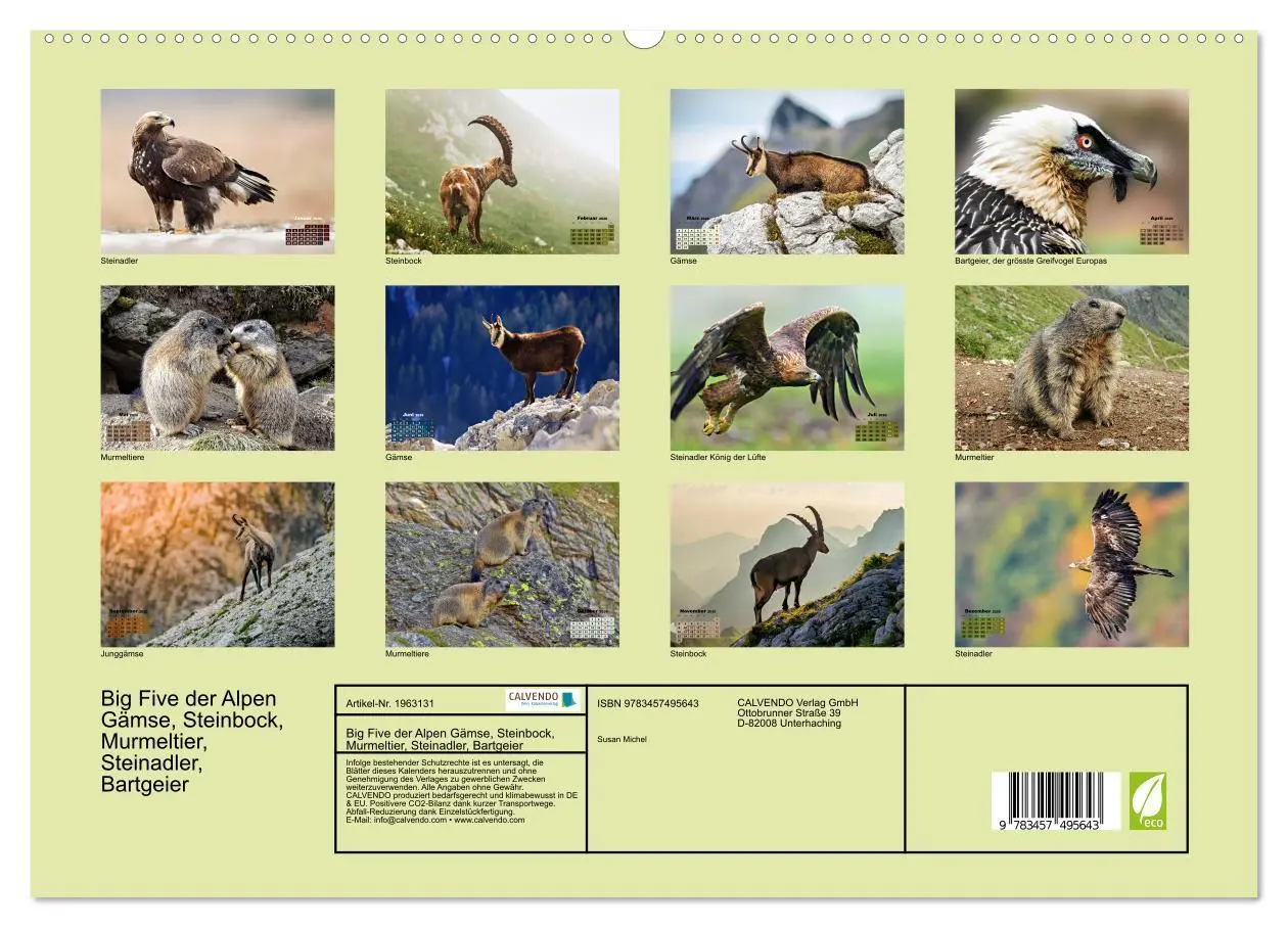 Bild: 9783457495643 | Big Five der Alpen Gämse, Steinbock, Murmeltier, Steinadler,...