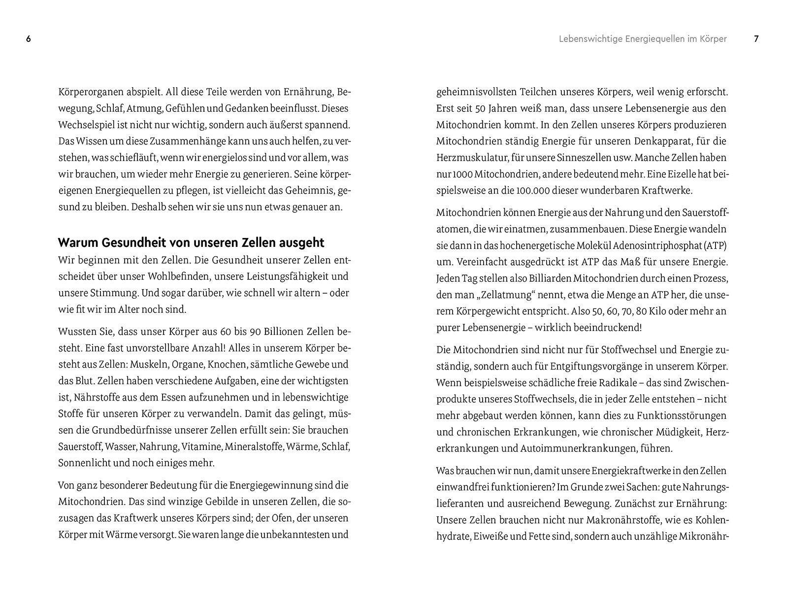 Bild: 9788868395643 | Energiegeladen statt ausgelaugt | Christian Thuile | Taschenbuch