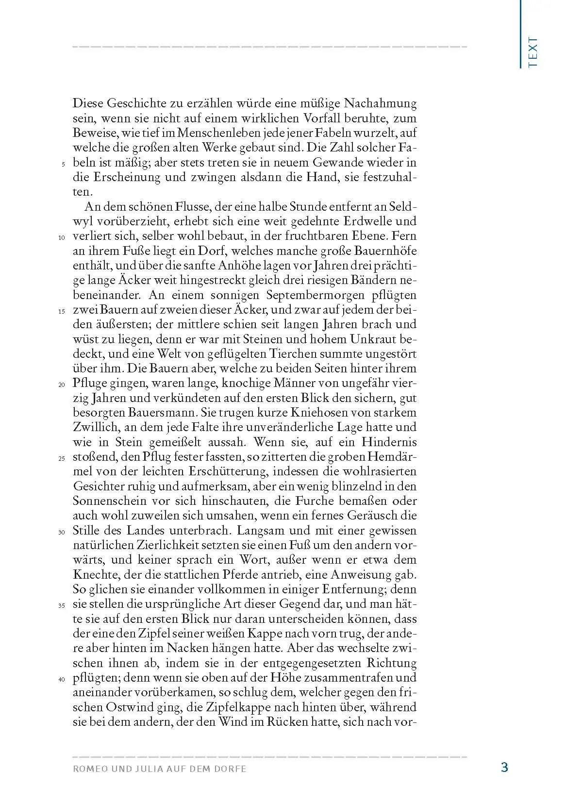 Bild: 9783804425743 | Romeo und Julia auf dem Dorfe (Textausgabe) | Gottfried Keller | Buch