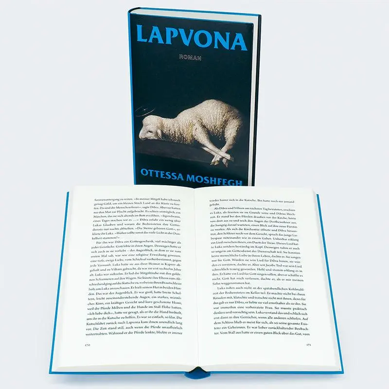 Bild: 9783446275843 | Lapvona | Roman | Ottessa Moshfegh | Buch | 336 S. | Deutsch | 2023