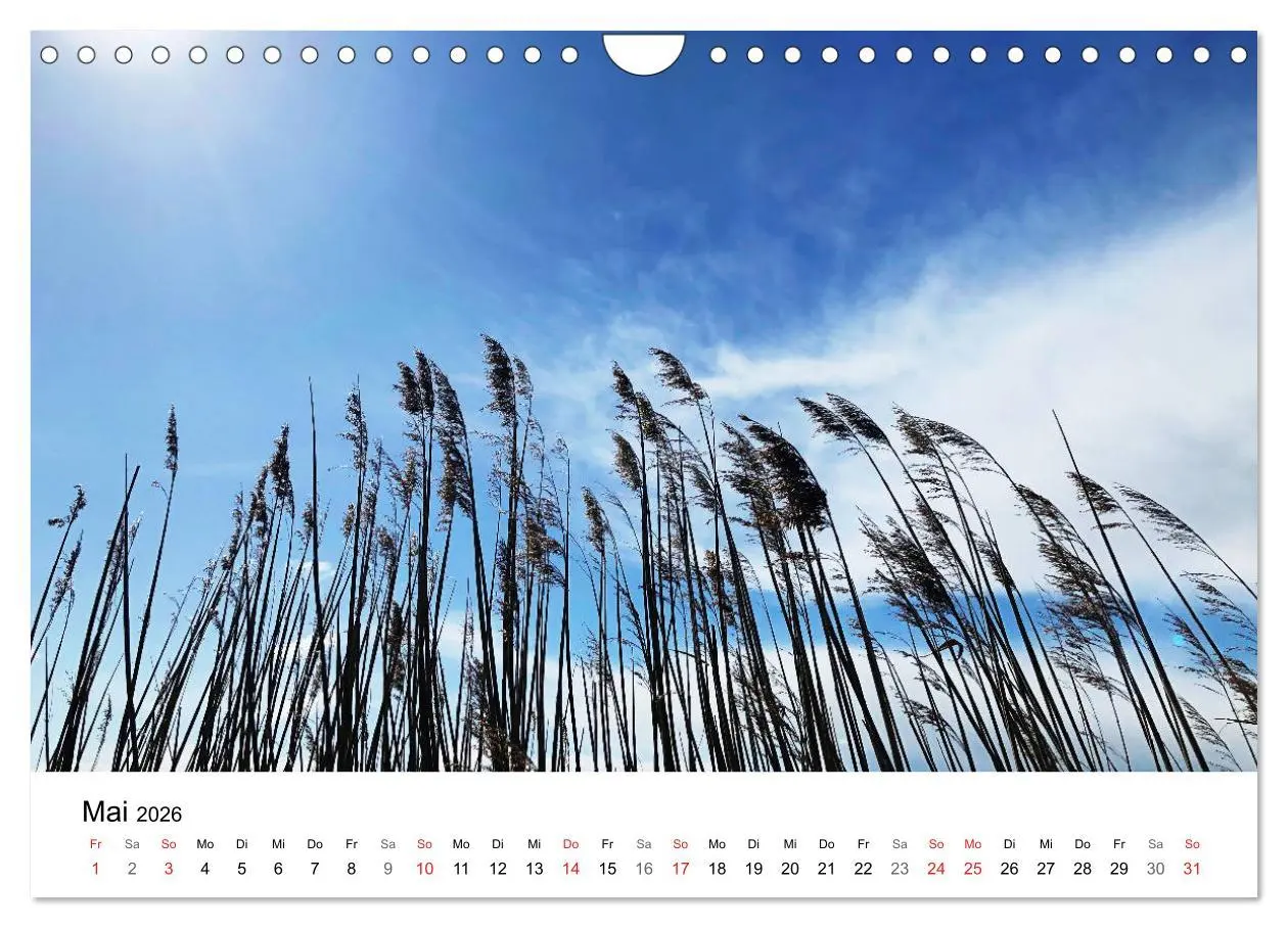 Bild: 9783457785843 | Borkum - Wo die Zeit still steht. (Wandkalender 2026 DIN A4 quer),...
