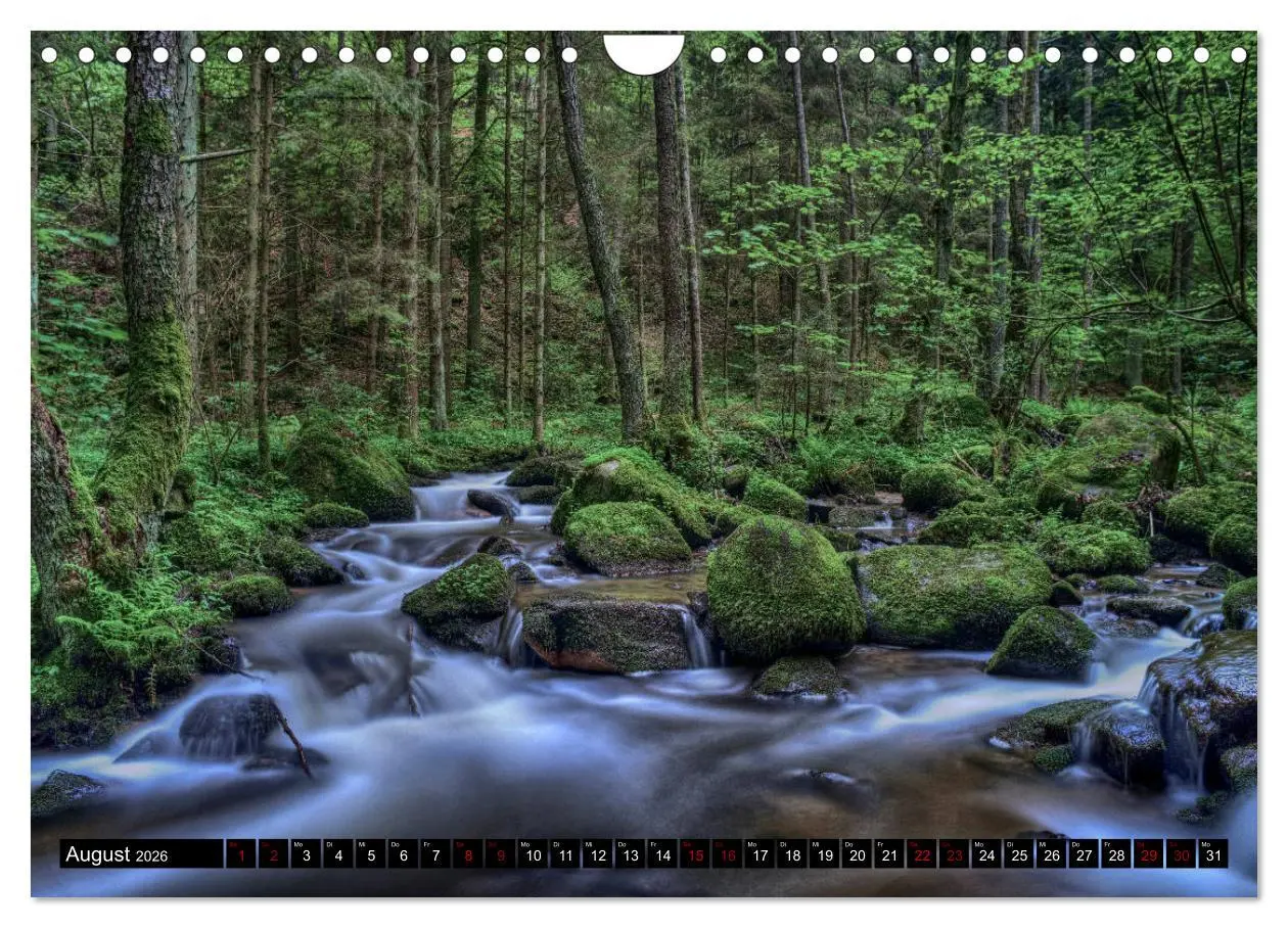 Bild: 9783457855843 | Quer durch die Oberpfalz (Wandkalender 2026 DIN A4 quer), CALVENDO...