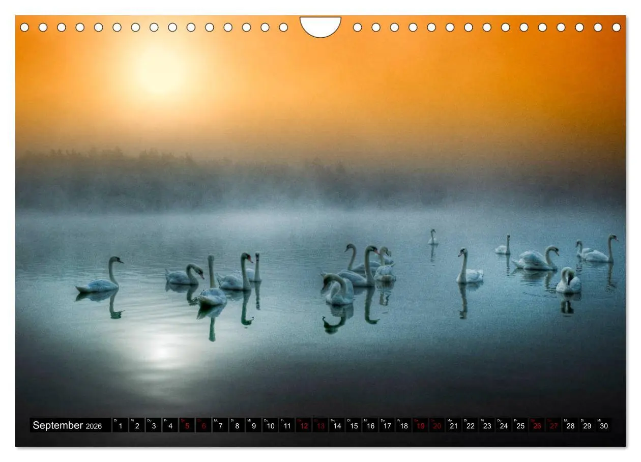 Bild: 9783457855843 | Quer durch die Oberpfalz (Wandkalender 2026 DIN A4 quer), CALVENDO...