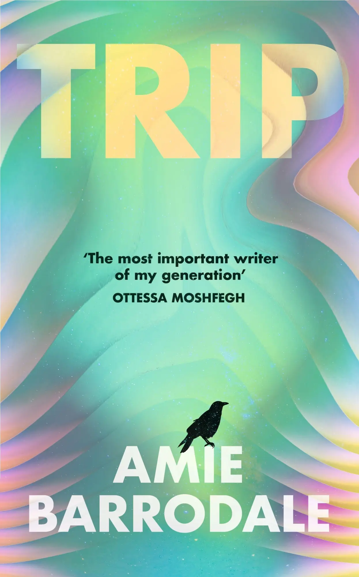 Cover: 9781787335943 | Trip | Amie Barrodale | Taschenbuch | Englisch | 2026