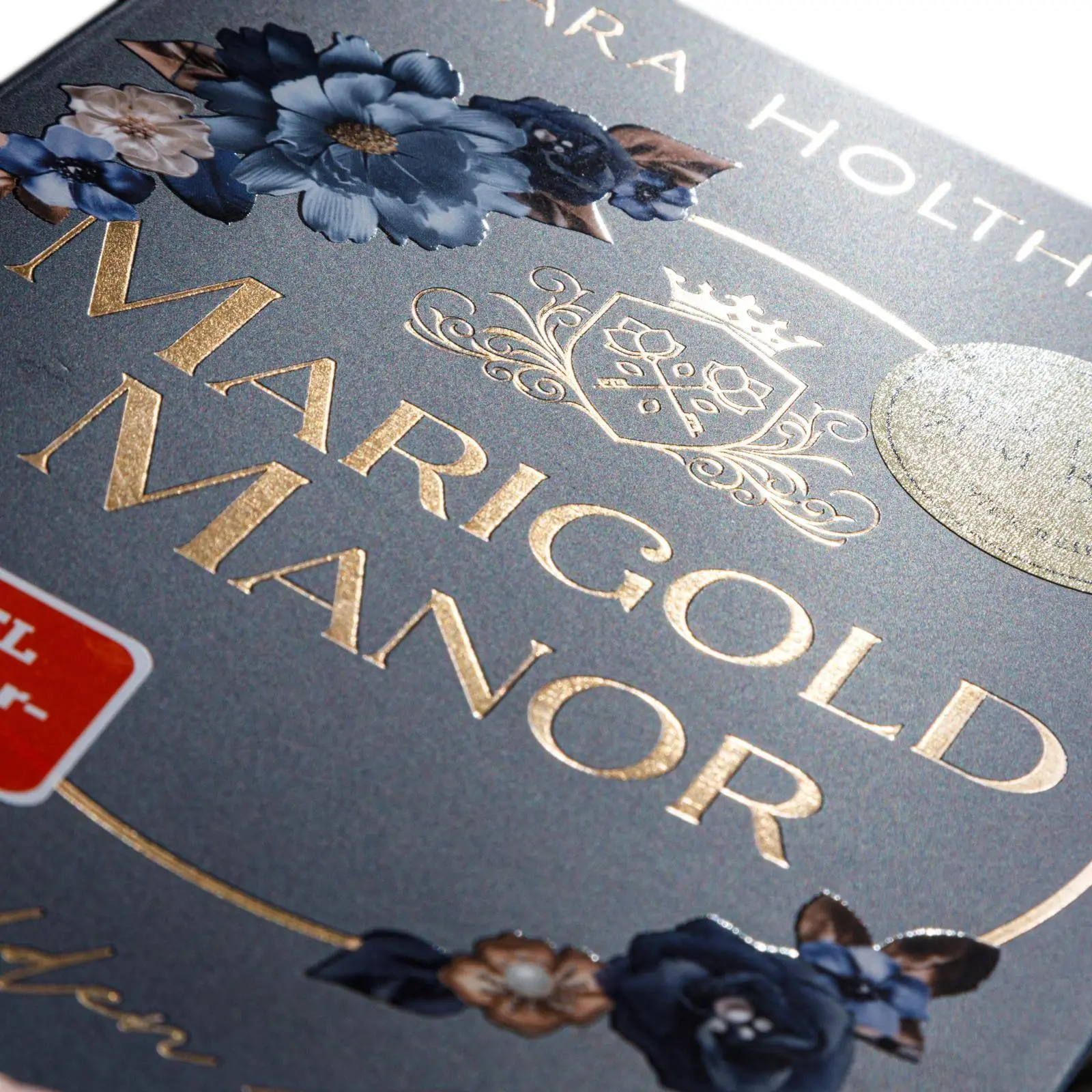 Bild: 9783551585943 | Marigold Manor 1: Hidden Lies | Lara Holthaus | Taschenbuch | 480 S.