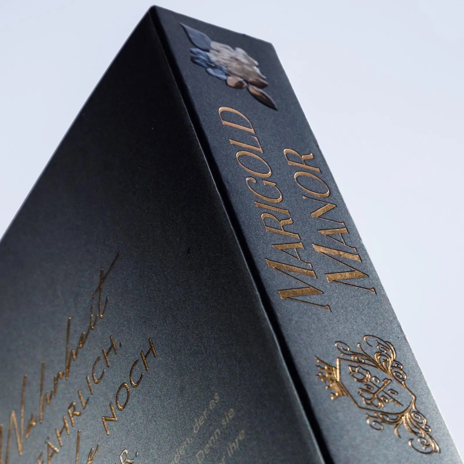 Bild: 9783551585943 | Marigold Manor 1: Hidden Lies | Lara Holthaus | Taschenbuch | 480 S.