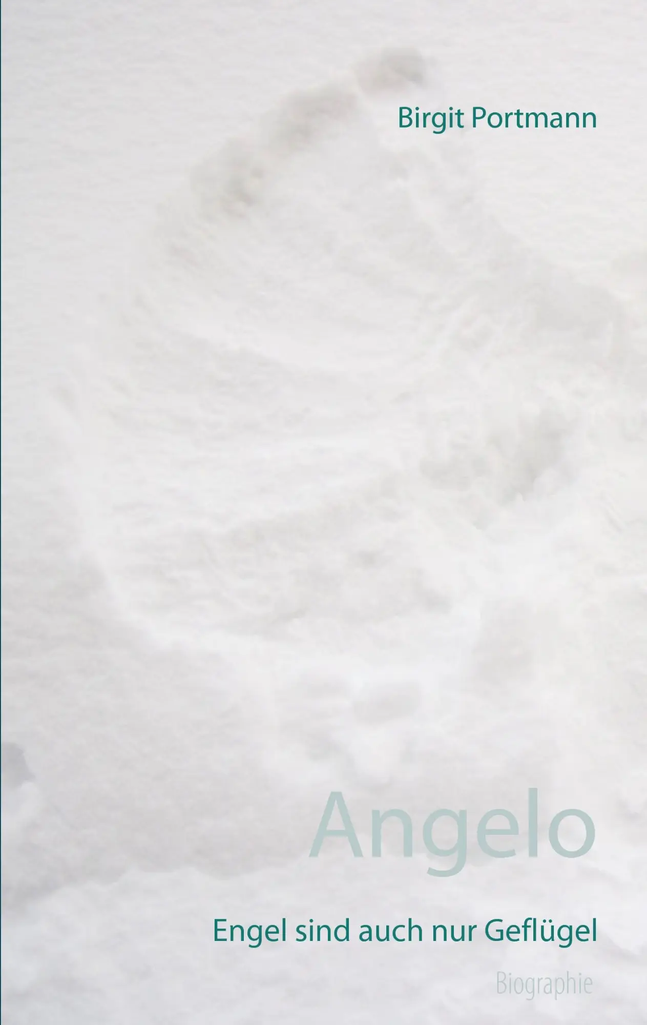 Cover: 9783741285943 | Angelo | Engel sind auch nur Geflügel | Birgit Portmann | Taschenbuch