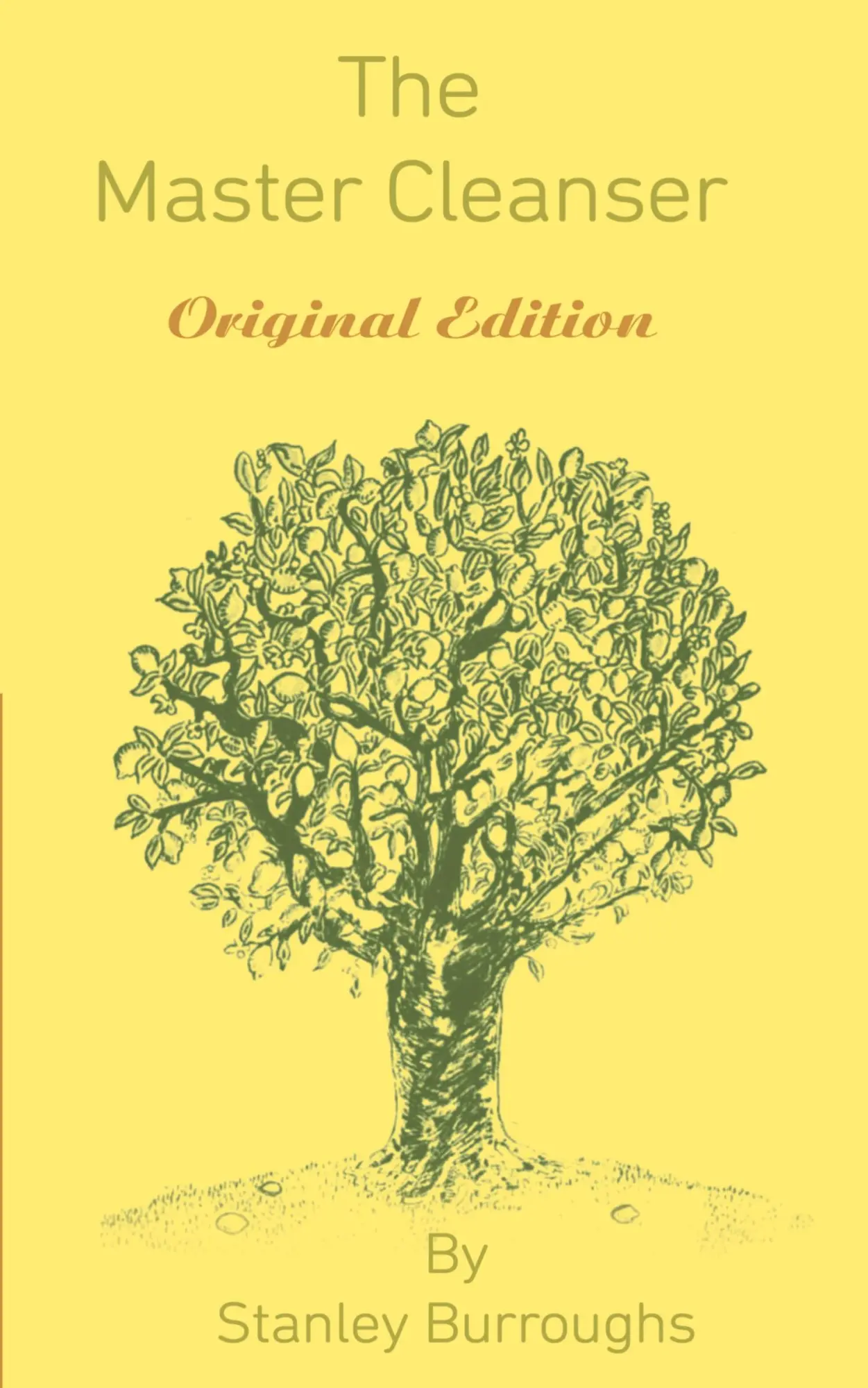 Cover: 9781607966043 | The Master Cleanser | Stanley Burroughs | Taschenbuch | Englisch