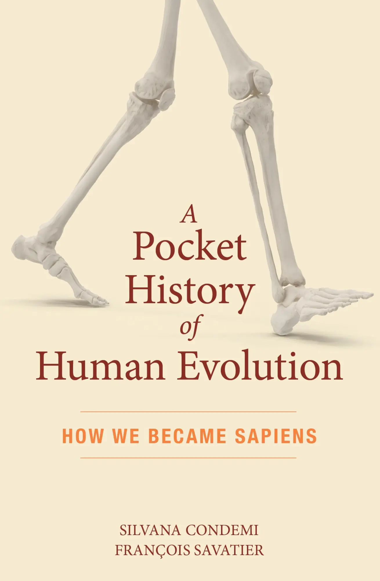 Cover: 9781615196043 | A Pocket History of Human Evolution | How We Became Sapiens | Buch