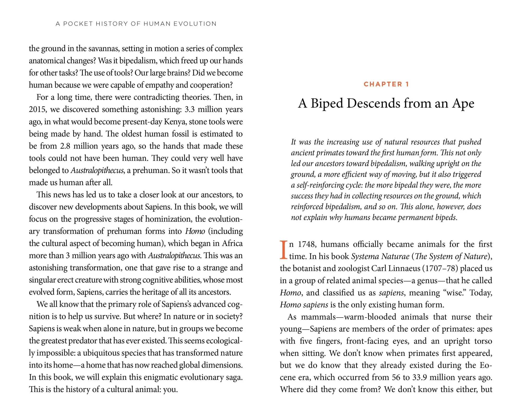 Bild: 9781615196043 | A Pocket History of Human Evolution | How We Became Sapiens | Buch