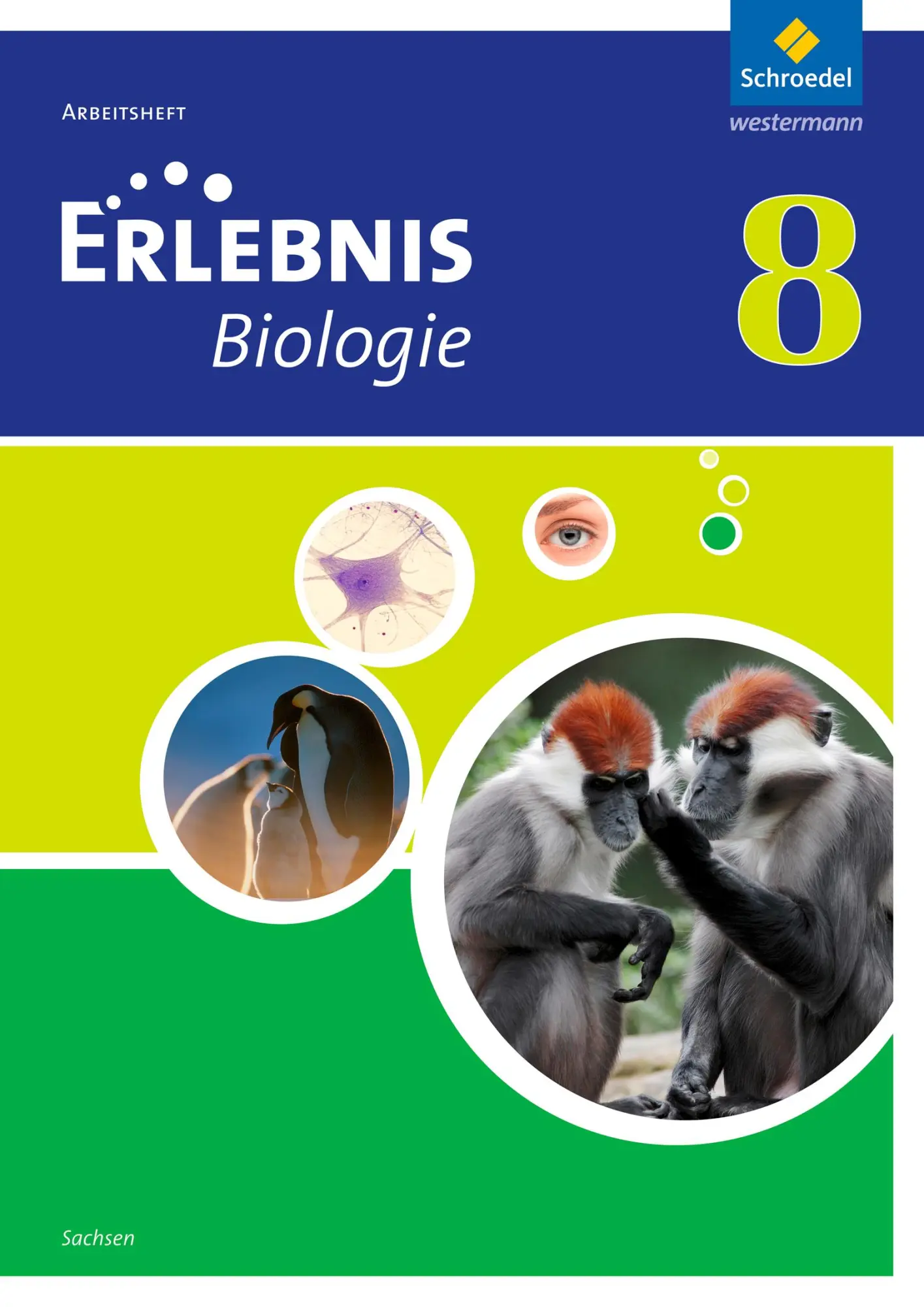 Cover: 9783507776043 | Erlebnis Biologie 8. Arbeitsheft. Sachsen | Ausgabe 2012 | Calsow