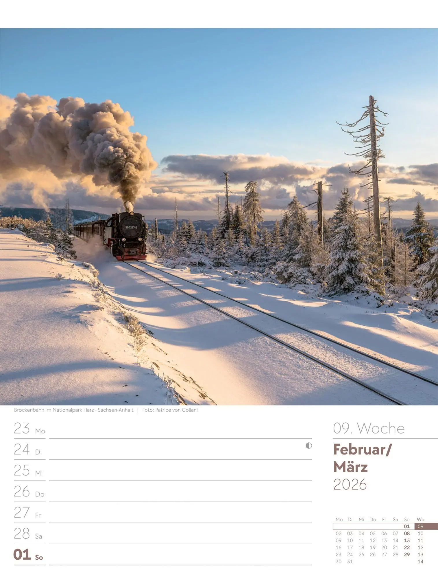 Bild: 9783838436043 | Malerisches Deutschland - Wochenplaner Kalender 2026 | GmbH | Kalender