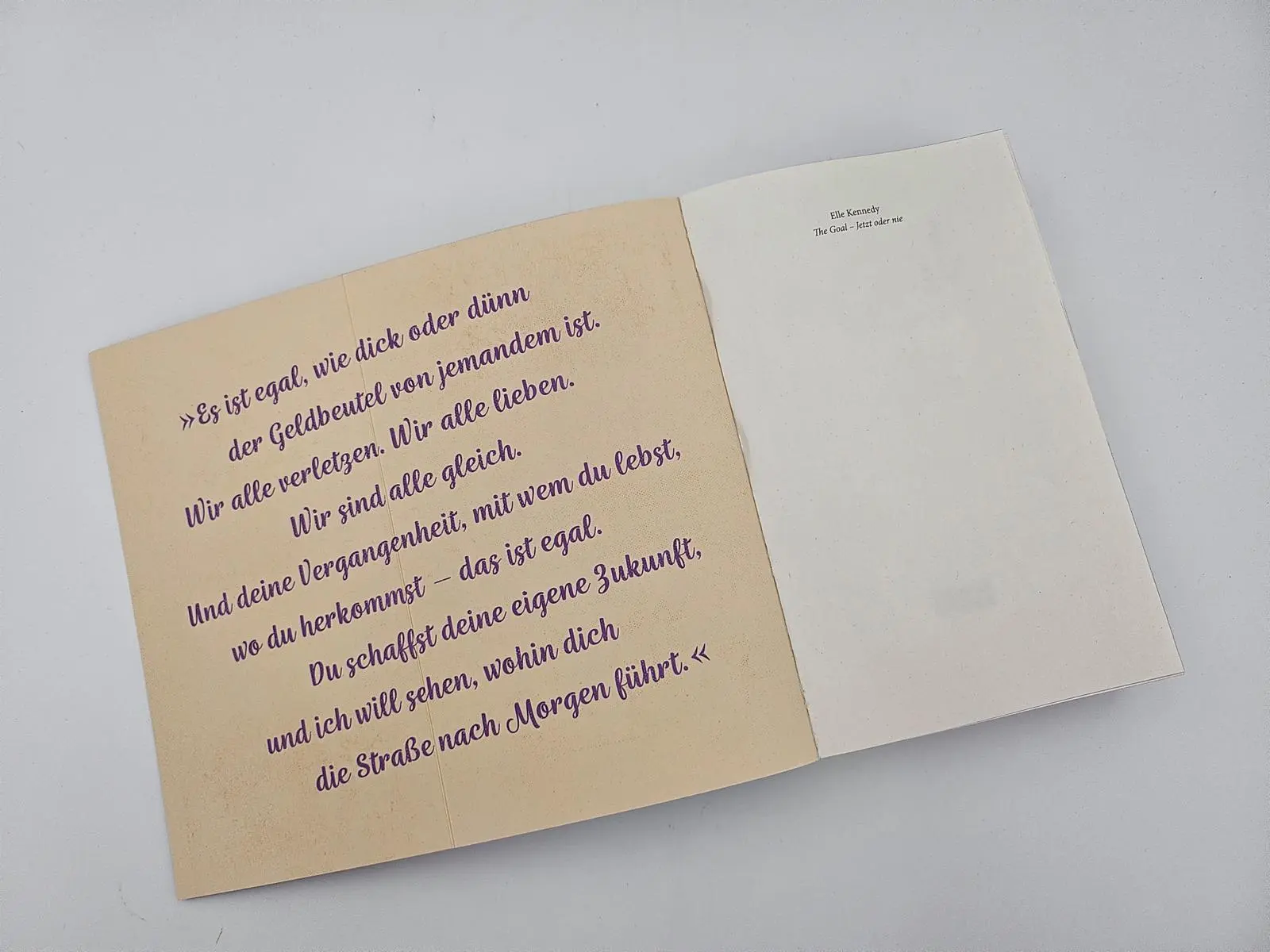 Bild: 9783492066143 | The Goal - Jetzt oder nie | Elle Kennedy | Taschenbuch | Off-Campus