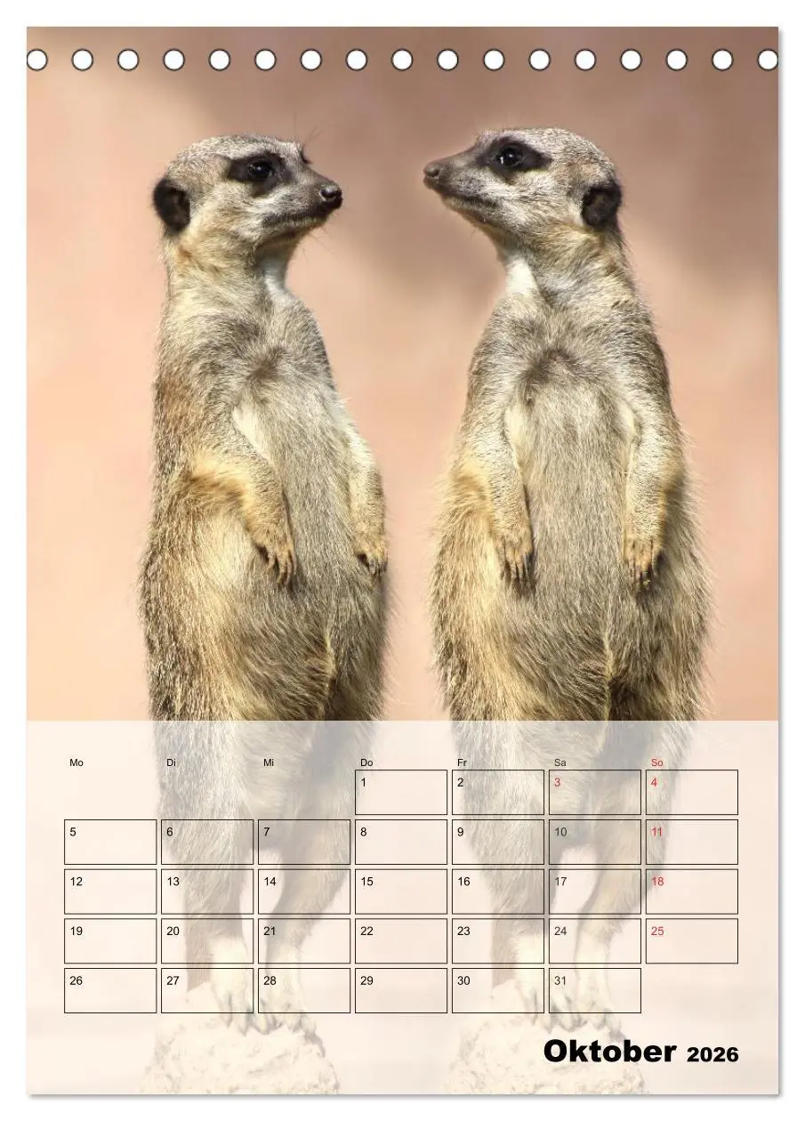 Bild: 9783516436143 | Erdmännchen - Afrikas liebenswerte Zwerge (Tischkalender 2026 DIN...