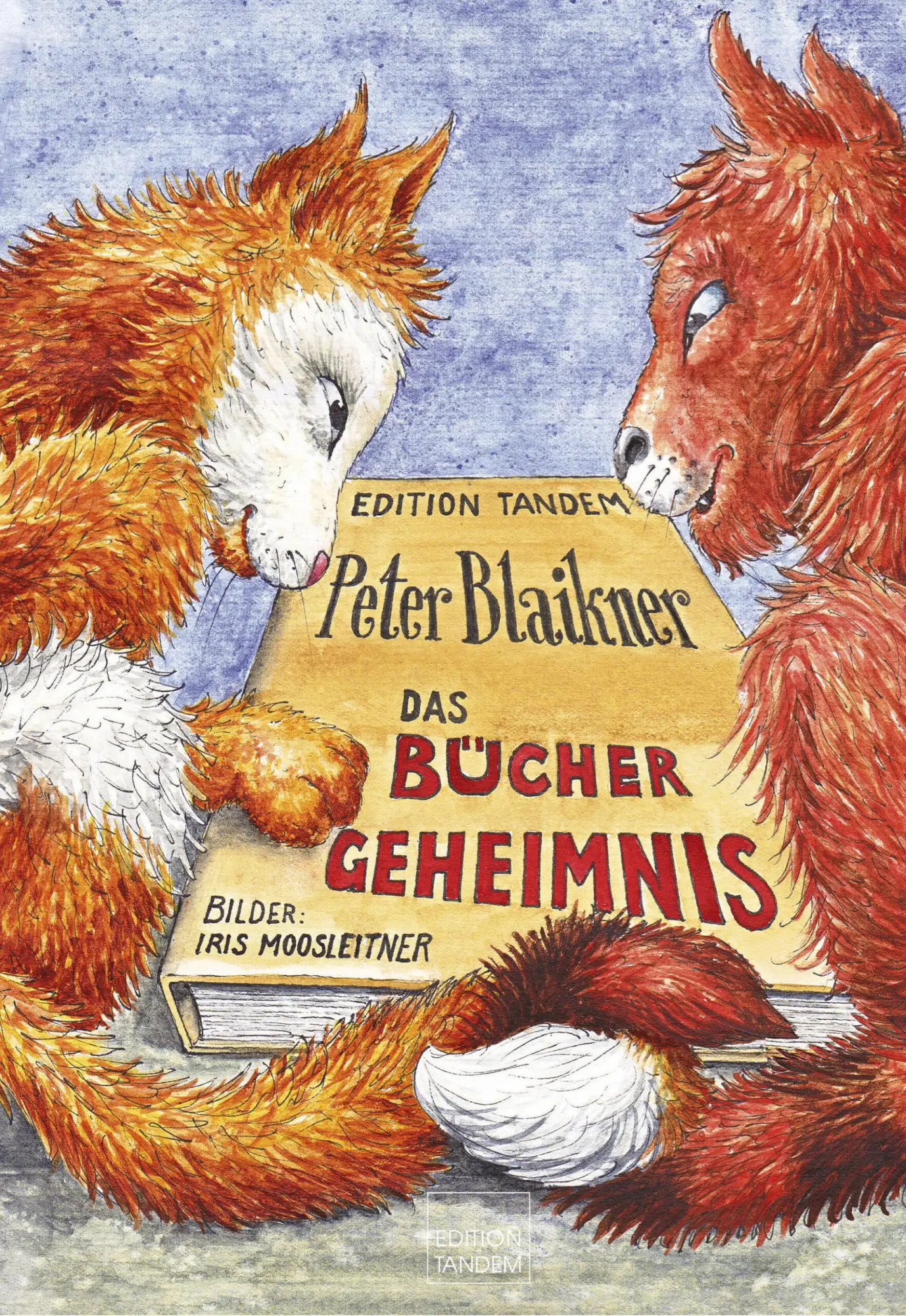 Cover: 9783903516243 | Das Büchergeheimnis | Peter Blaikner | Buch | 56 S. | Deutsch | 2025