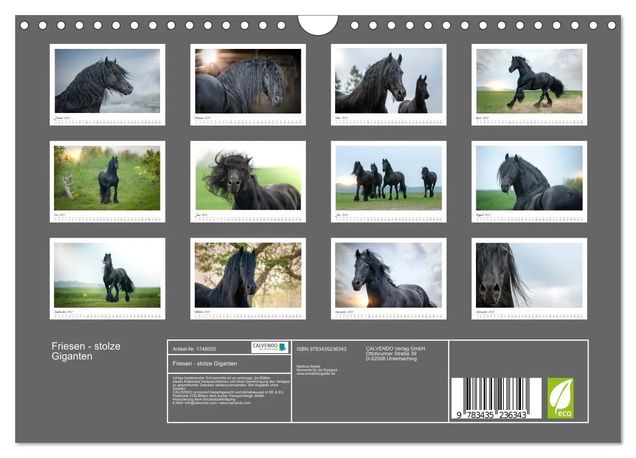 Bild: 9783435236343 | Friesen - stolze Giganten (Wandkalender 2025 DIN A4 quer), CALVENDO...