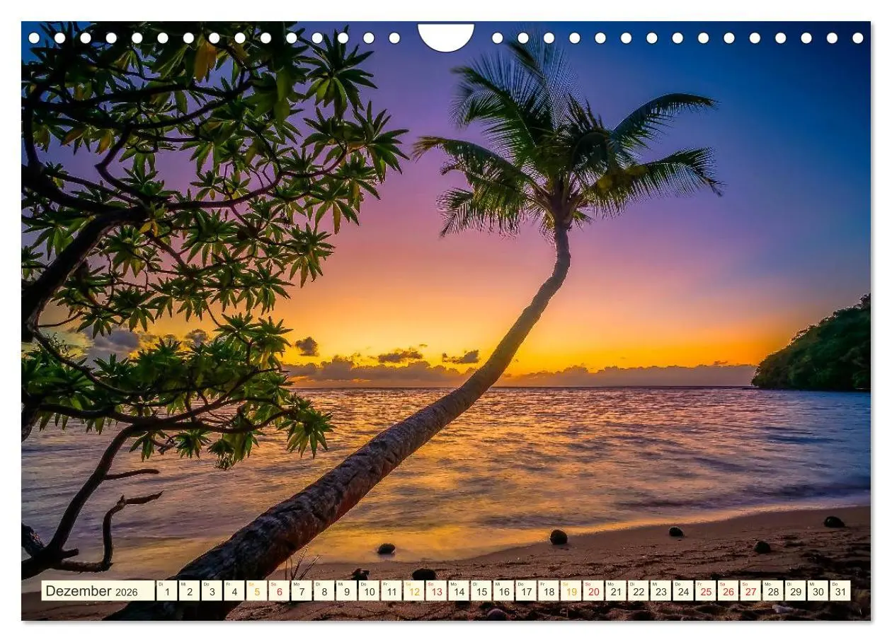 Bild: 9783516036343 | Strände wie ein Traum (Wandkalender 2026 DIN A4 quer), CALVENDO...