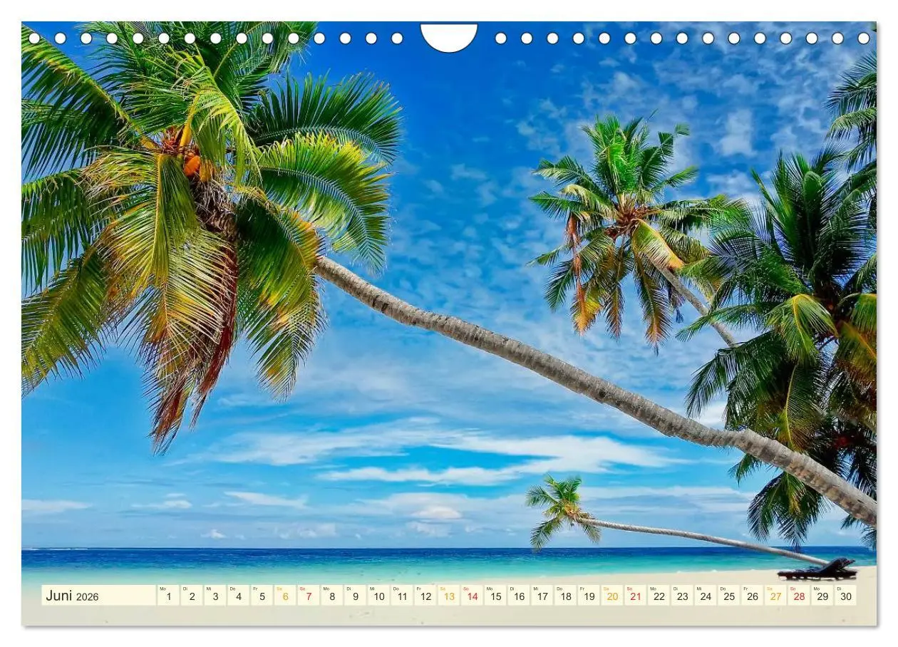 Bild: 9783516036343 | Strände wie ein Traum (Wandkalender 2026 DIN A4 quer), CALVENDO...