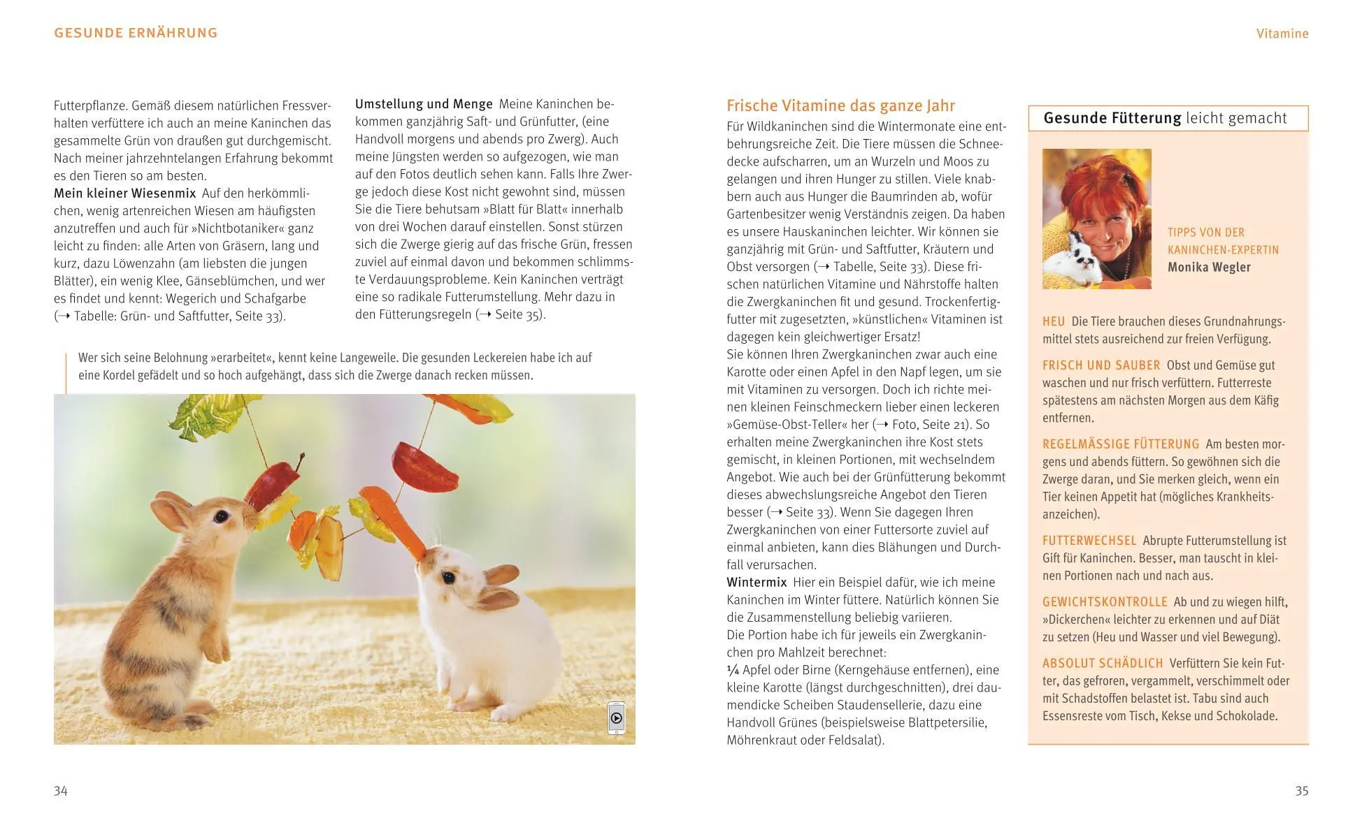 Bild: 9783833836343 | Zwergkaninchen | Glücklich durchs Leben hoppeln | Monika Wegler | Buch