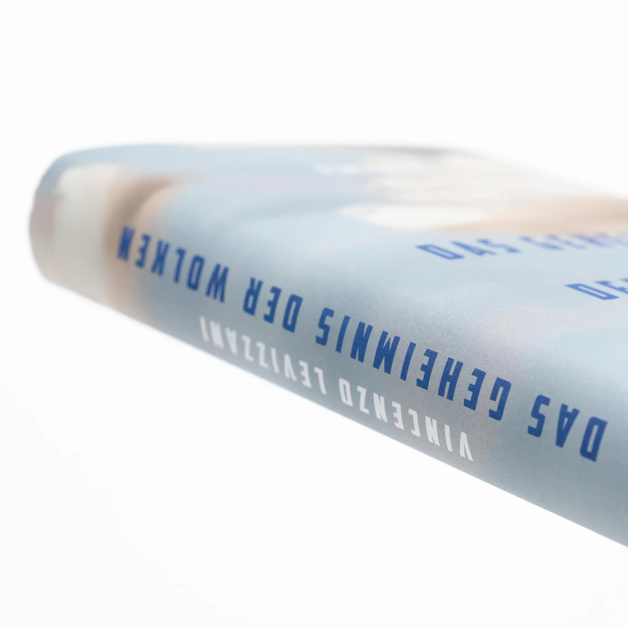 Bild: 9783365006443 | Das Geheimnis der Wolken. Handbuch zum Lesen des Himmels | Levizzani