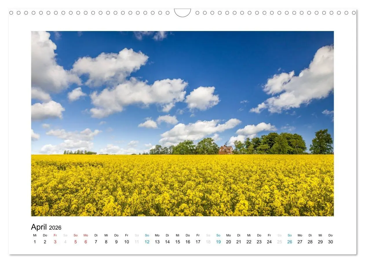Bild: 9783516026443 | Sehnsucht nach Bornholm (Wandkalender 2026 DIN A3 quer), CALVENDO...
