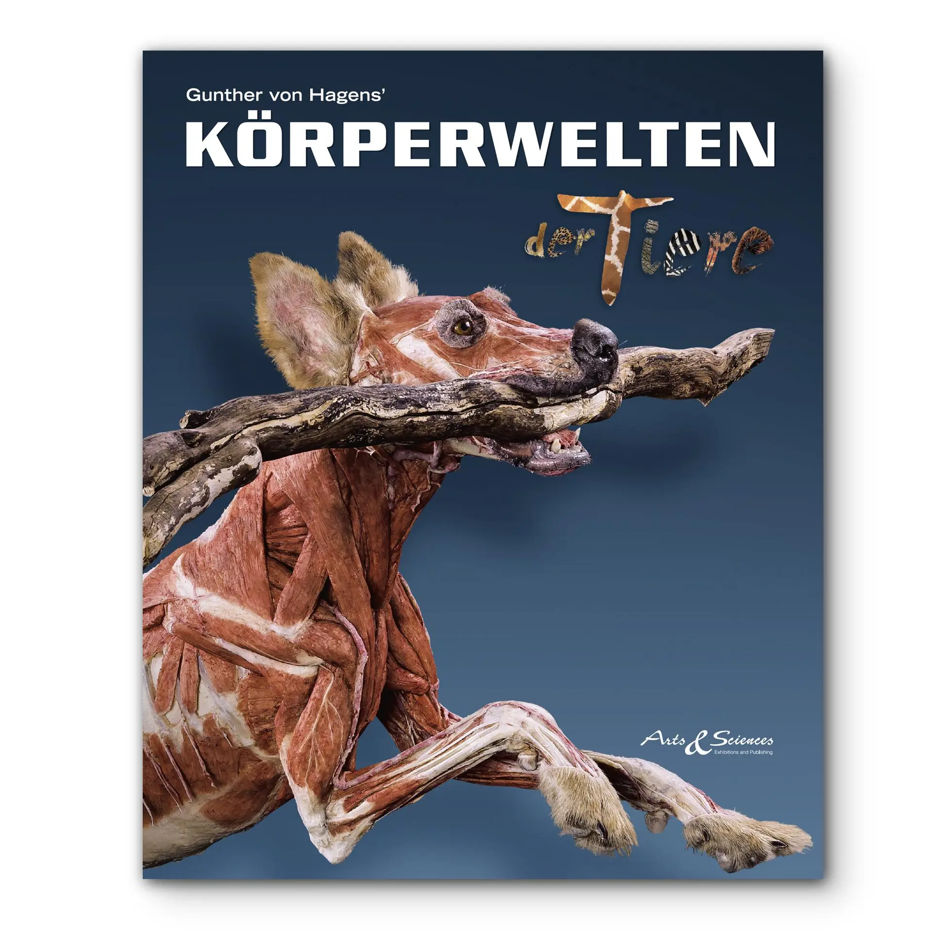 Cover: 9783937256443 | KÖRPERWELTEN der Tiere | Gunther von Hagens | Taschenbuch | 152 S.