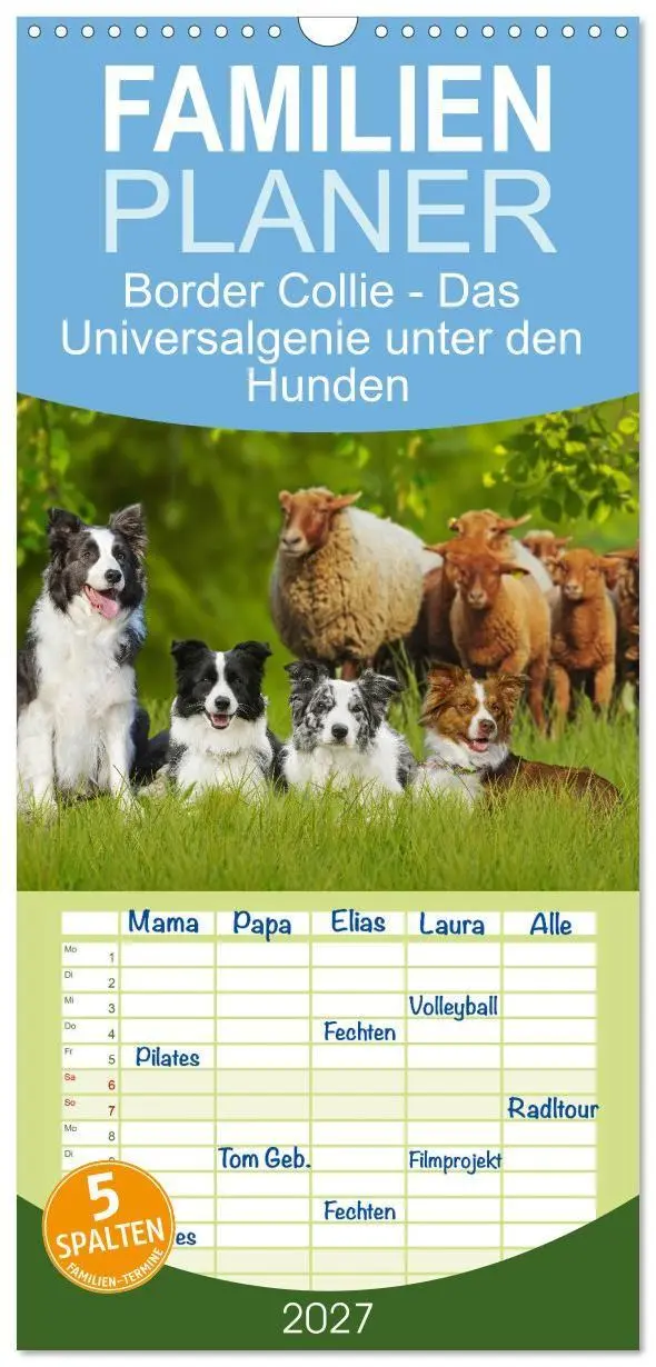 Cover: 9783594306543 | Familienplaner 2027 - Border Collie - Das Universalgenie unter den...