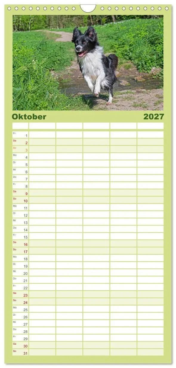 Bild: 9783594306543 | Familienplaner 2027 - Border Collie - Das Universalgenie unter den...