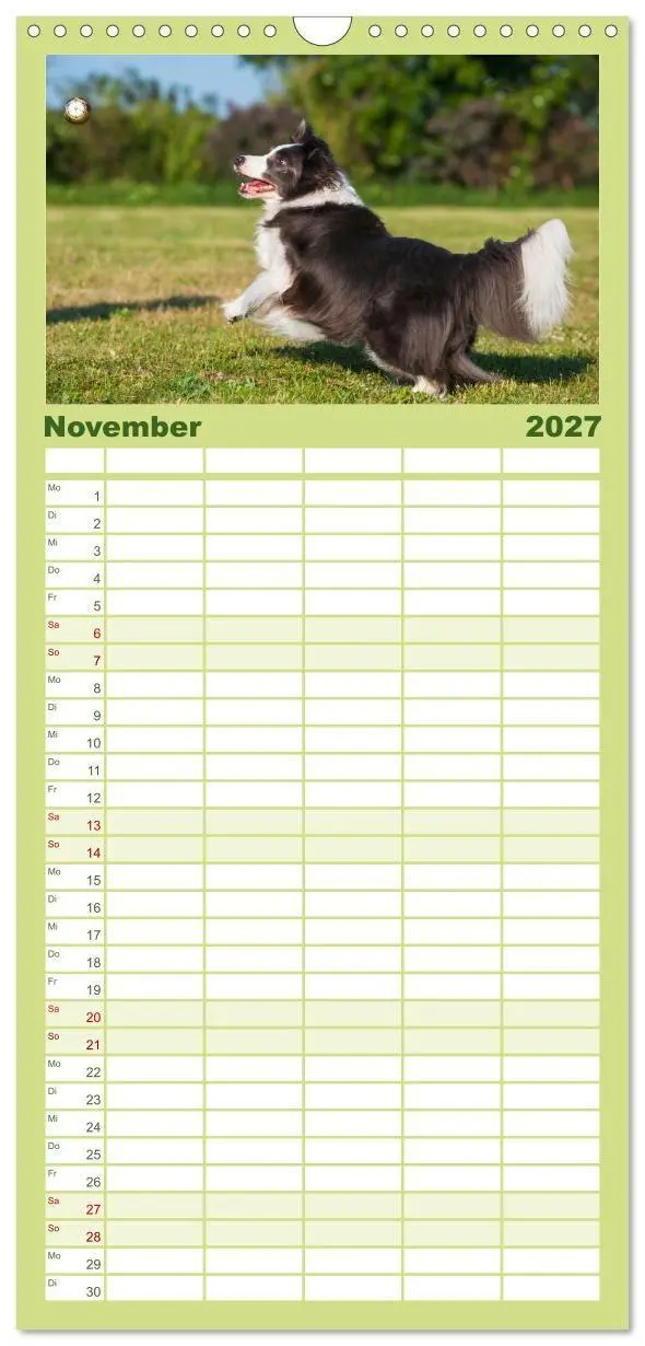 Bild: 9783594306543 | Familienplaner 2027 - Border Collie - Das Universalgenie unter den...