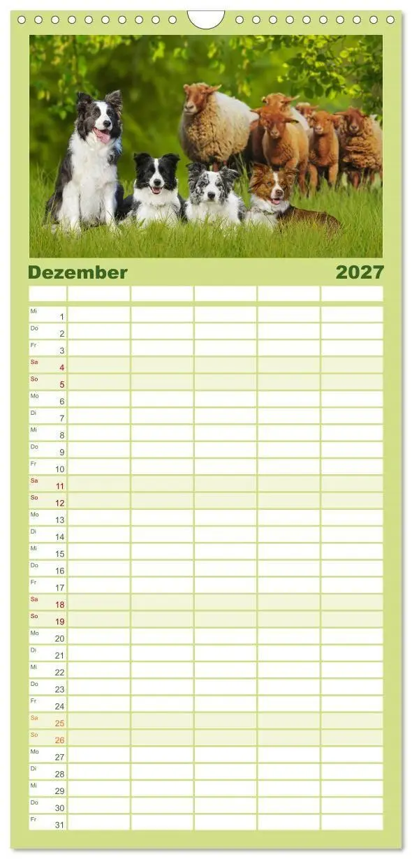 Bild: 9783594306543 | Familienplaner 2027 - Border Collie - Das Universalgenie unter den...
