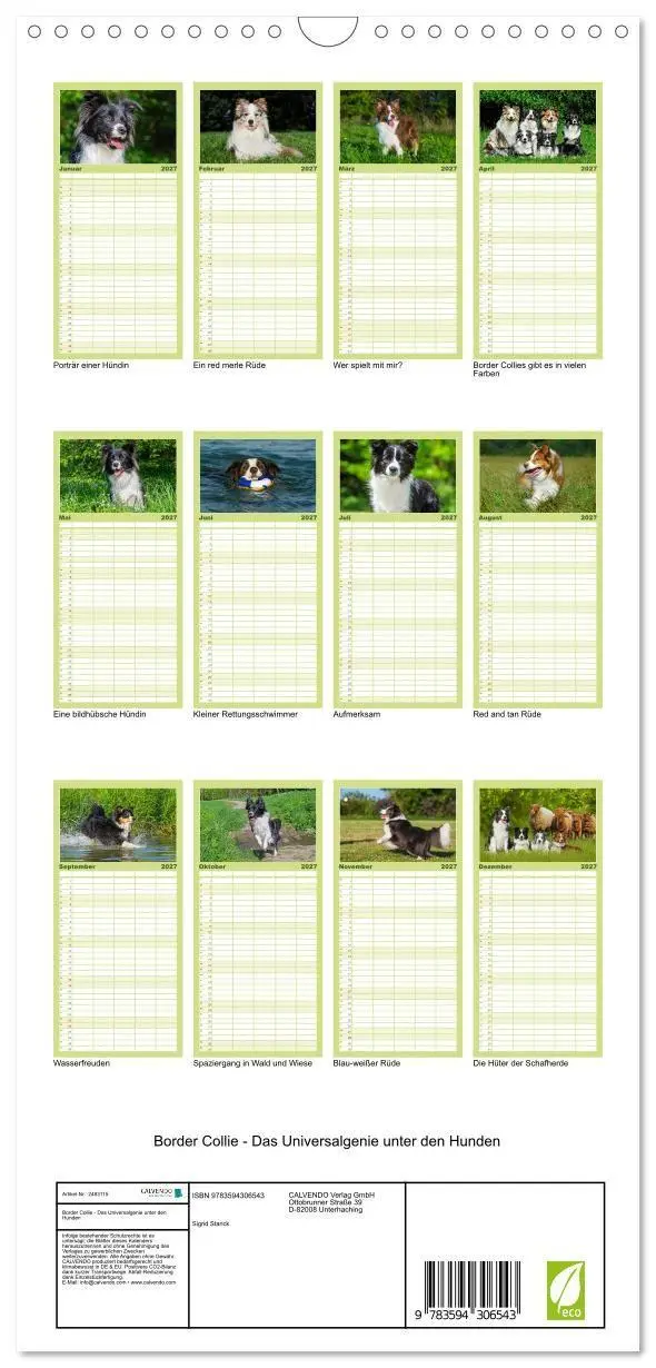 Bild: 9783594306543 | Familienplaner 2027 - Border Collie - Das Universalgenie unter den...