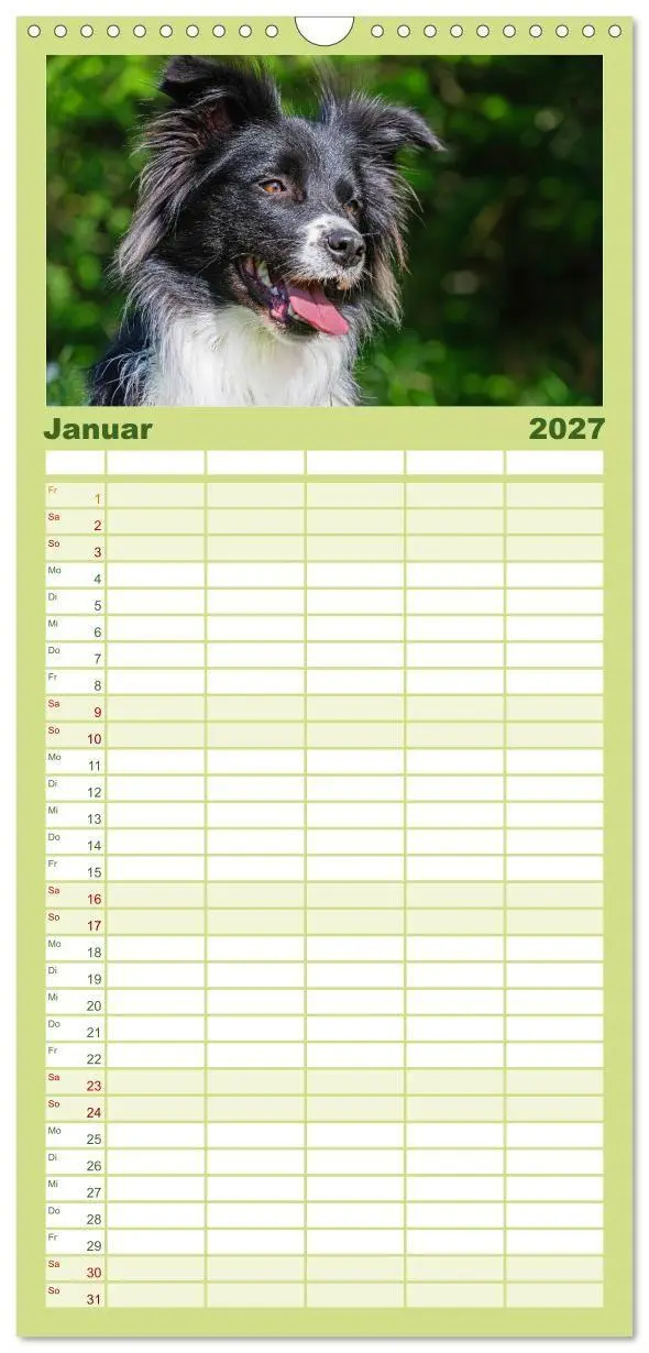 Bild: 9783594306543 | Familienplaner 2027 - Border Collie - Das Universalgenie unter den...
