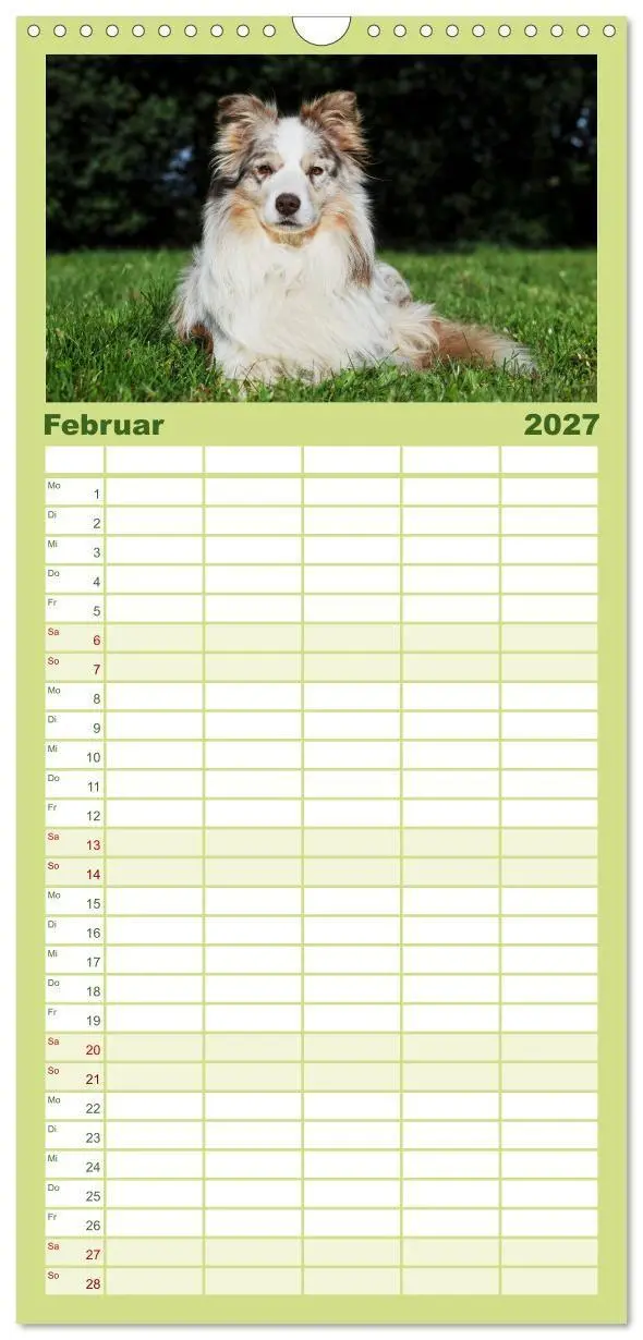Bild: 9783594306543 | Familienplaner 2027 - Border Collie - Das Universalgenie unter den...