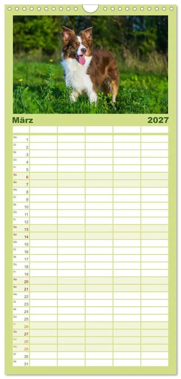 Bild: 9783594306543 | Familienplaner 2027 - Border Collie - Das Universalgenie unter den...