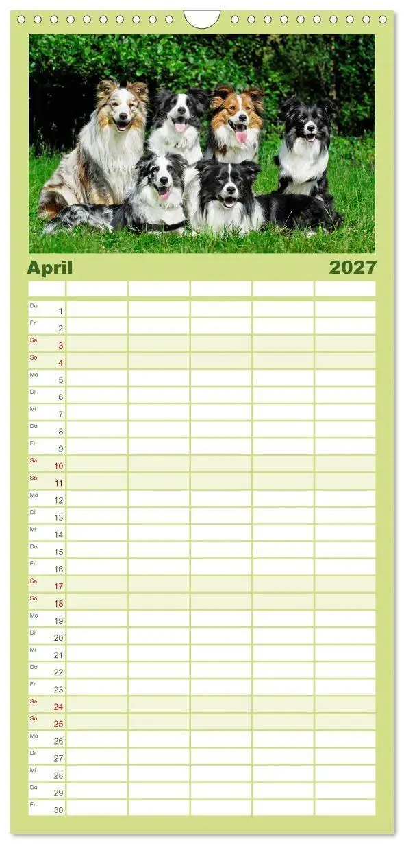 Bild: 9783594306543 | Familienplaner 2027 - Border Collie - Das Universalgenie unter den...