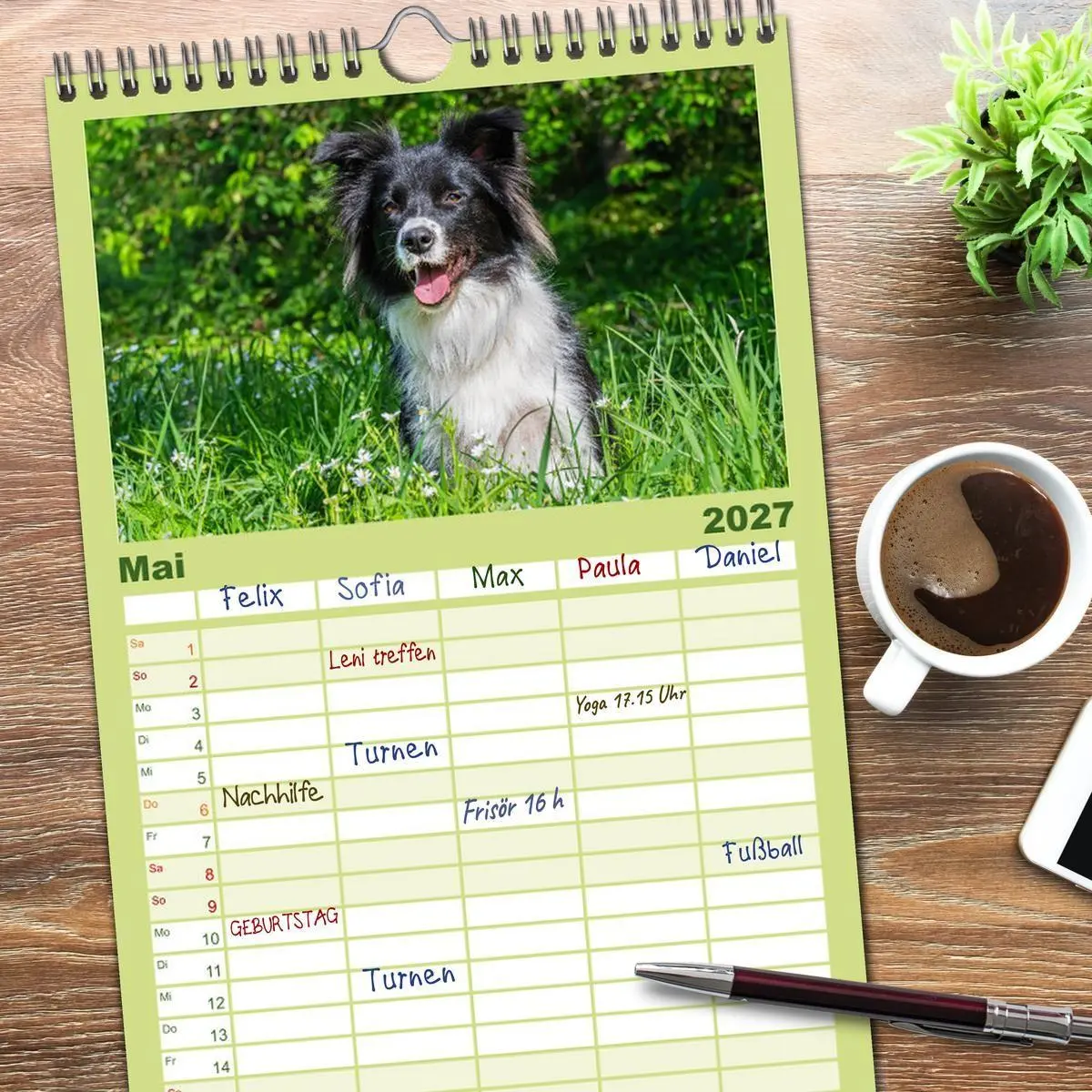Bild: 9783594306543 | Familienplaner 2027 - Border Collie - Das Universalgenie unter den...