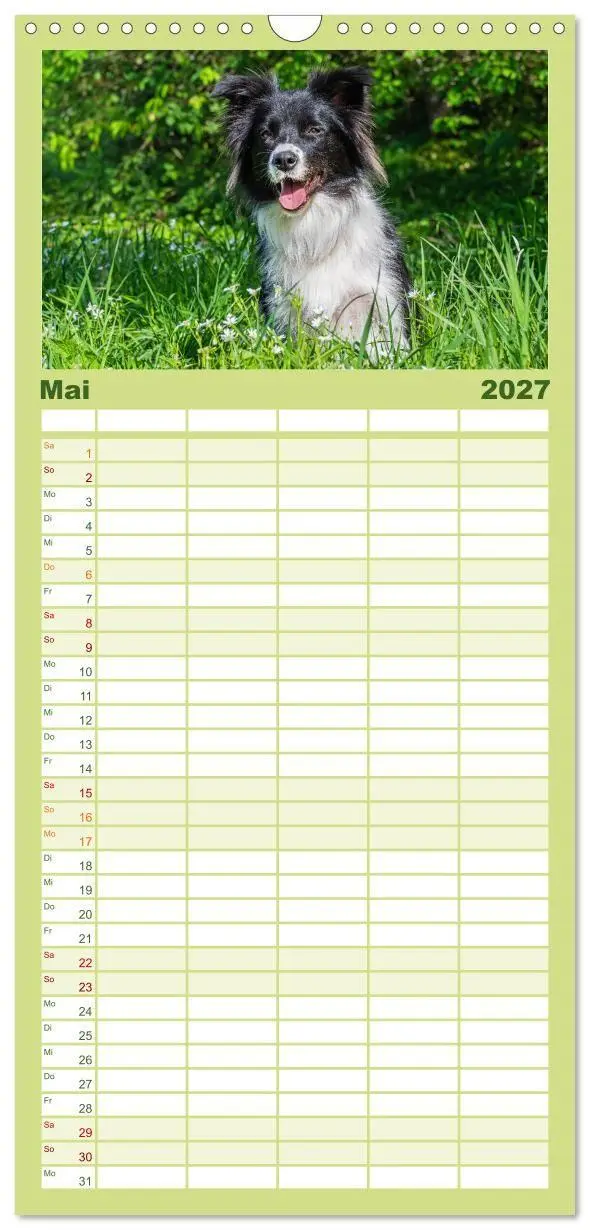 Bild: 9783594306543 | Familienplaner 2027 - Border Collie - Das Universalgenie unter den...