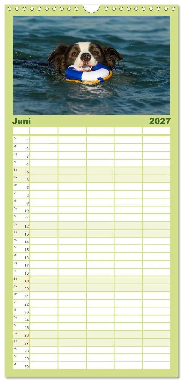 Bild: 9783594306543 | Familienplaner 2027 - Border Collie - Das Universalgenie unter den...