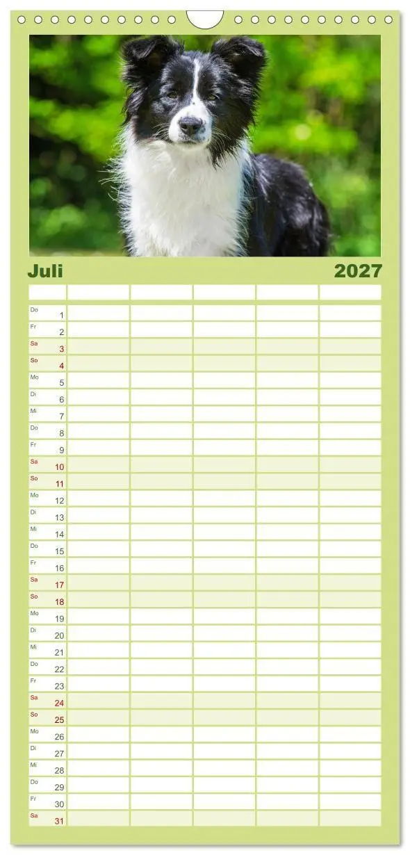 Bild: 9783594306543 | Familienplaner 2027 - Border Collie - Das Universalgenie unter den...