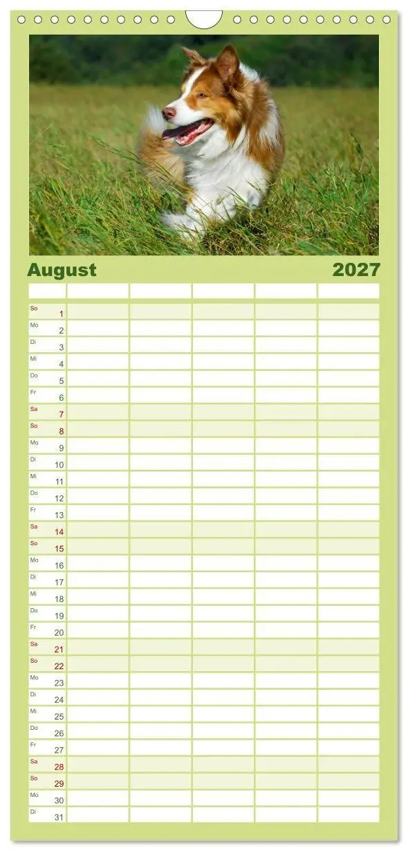 Bild: 9783594306543 | Familienplaner 2027 - Border Collie - Das Universalgenie unter den...