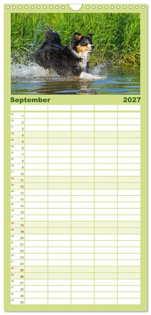 Bild: 9783594306543 | Familienplaner 2027 - Border Collie - Das Universalgenie unter den...