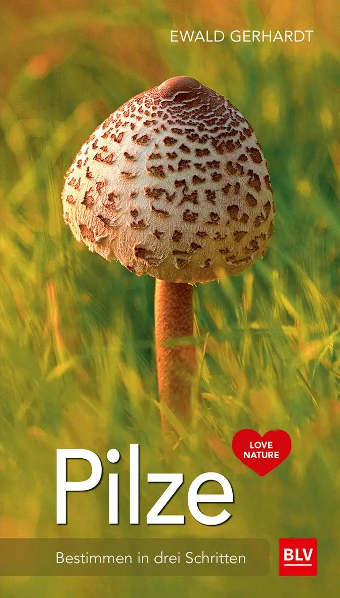 Cover: 9783835416543 | Pilze | Treffsicher bestimmen in drei Schritten | Ewald Gerhardt | BLV