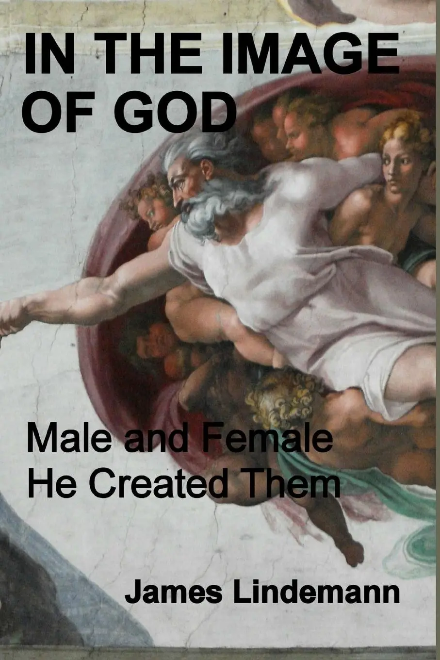 Cover: 9780991686643 | In the Image of God | Male and Female He Created Them | Lindemann