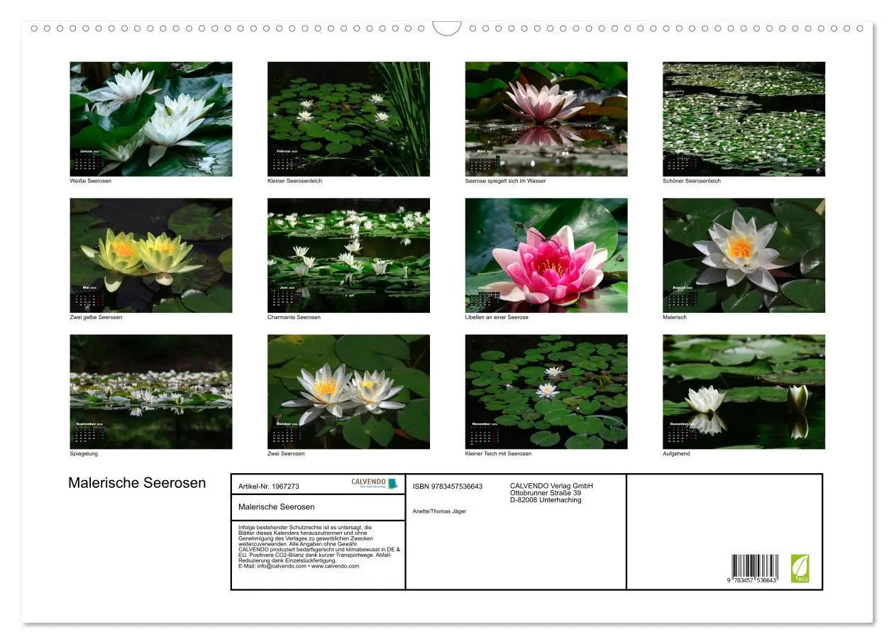 Bild: 9783457536643 | Malerische Seerosen (Wandkalender 2026 DIN A2 quer), CALVENDO...
