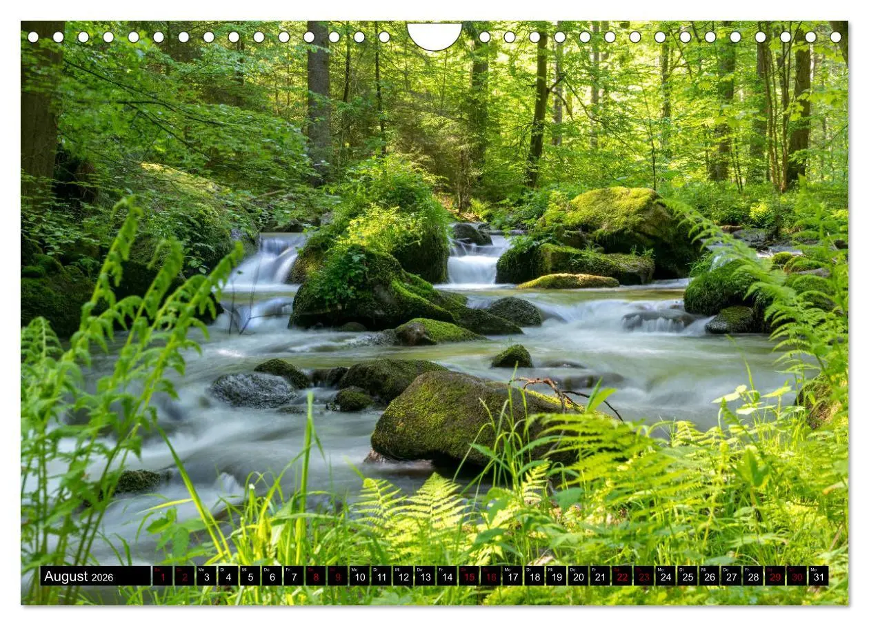 Bild: 9783457776643 | Unser Erzgebirge (Wandkalender 2026 DIN A4 quer), CALVENDO...